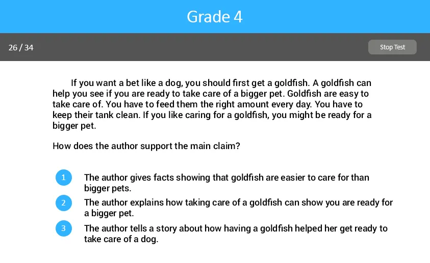 Analyzing Argument and Evaluating Text Grade Four test screenshot.