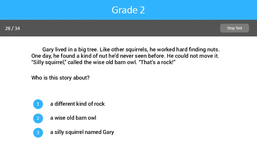 Analyzing Literary Text Grade Six test screenshot.