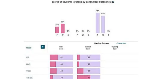 Screenshot of SAEBRS: Scores of students in group report 